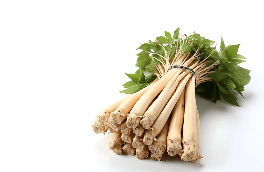 Efit Lab