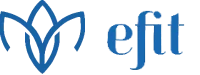 Efit Lab